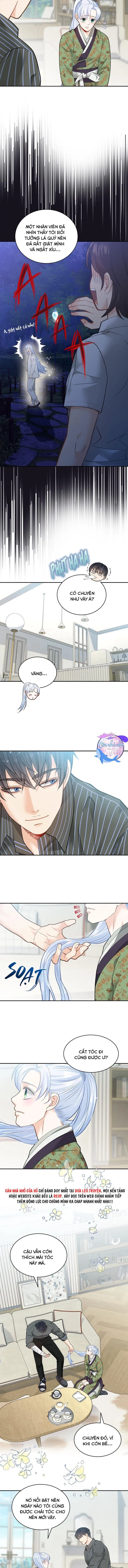 Hôn Nhân Bị Đánh Cắp Của Hồ Ly Chapter 40 Trang 6