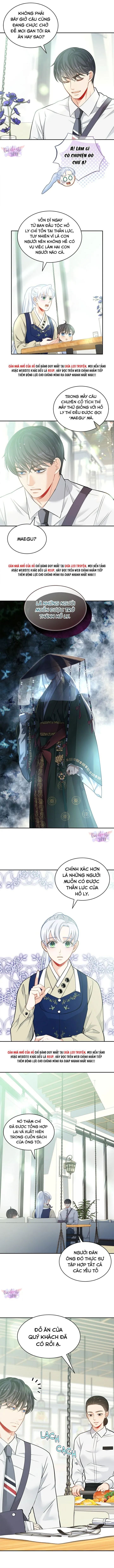 Hôn Nhân Bị Đánh Cắp Của Hồ Ly Chapter 45 Trang 10