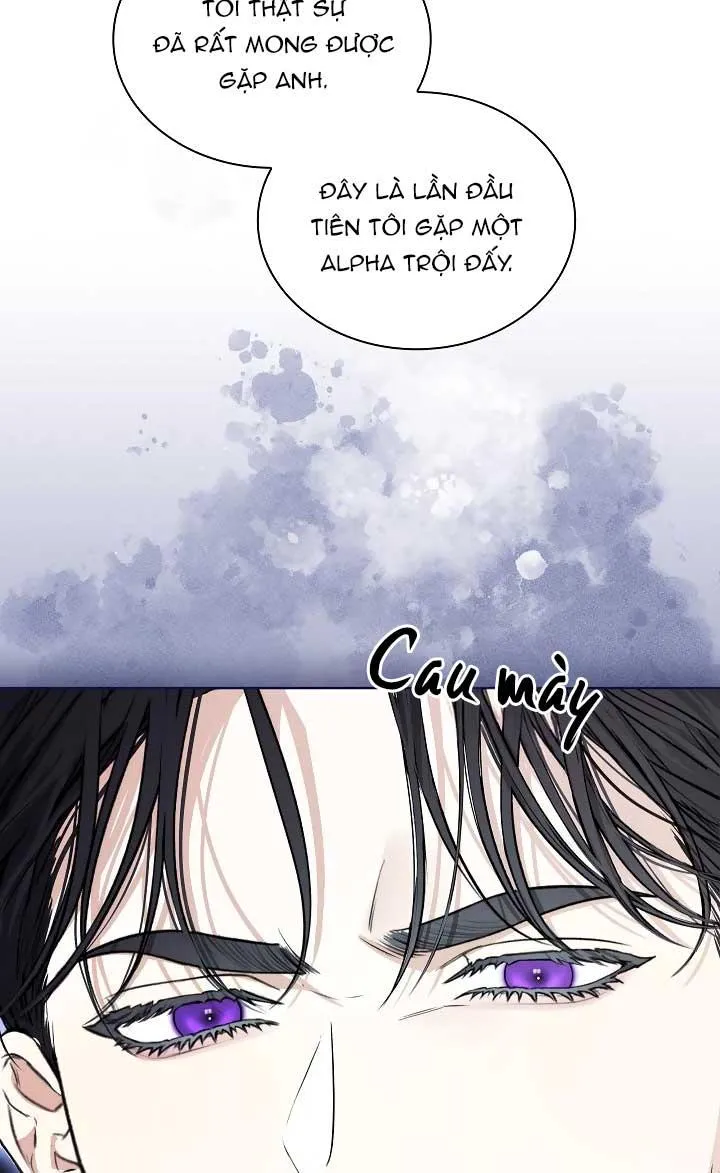 HÔN TÔI NẾU CÓ THỂ Chapter 14 Trang 36