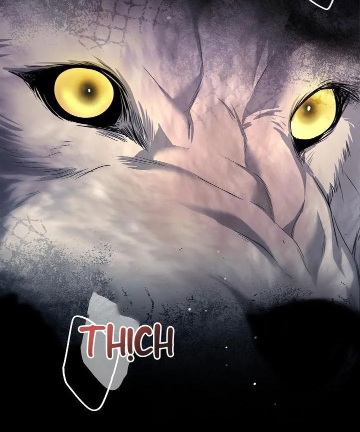 HÔN TÔI NẾU CÓ THỂ Chapter 23 Trang 6