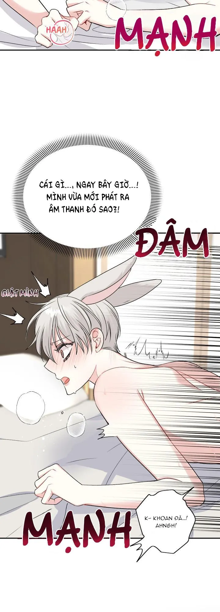 HÔN ƯỚC NÀY LÀ MỘT CẠM BẪY Chapter 1 Trang 3