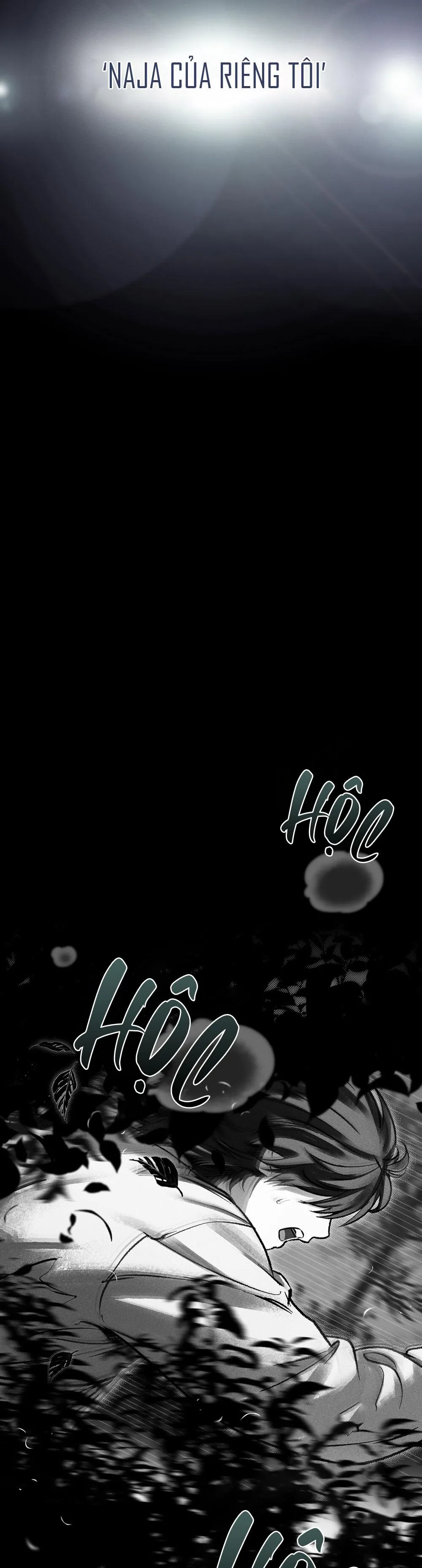 HỎA HỒN Chapter 2 Trang 42