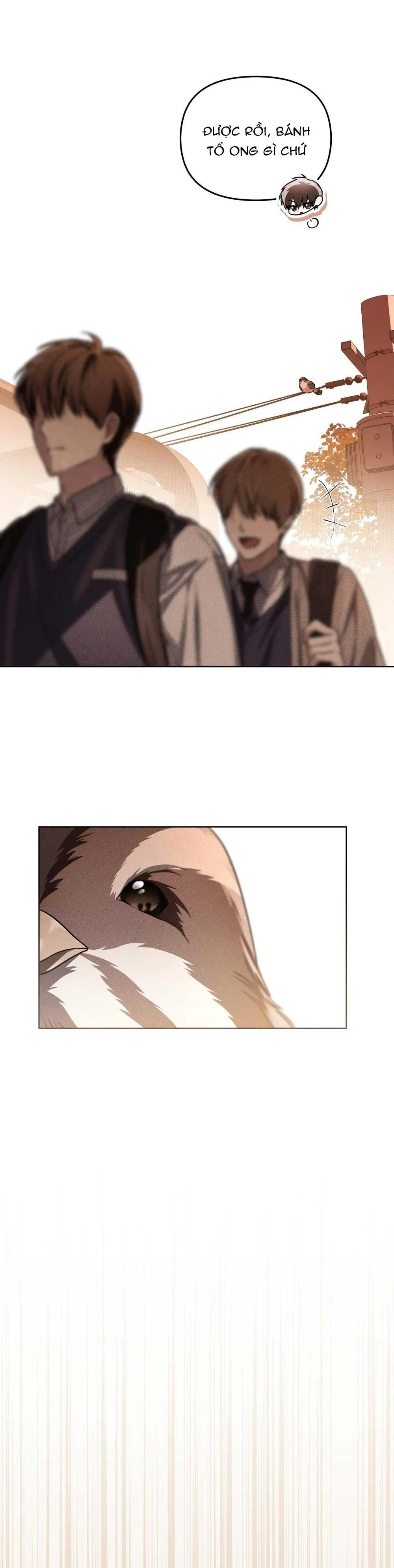 HỎA HỒN Chapter 6 Trang 50