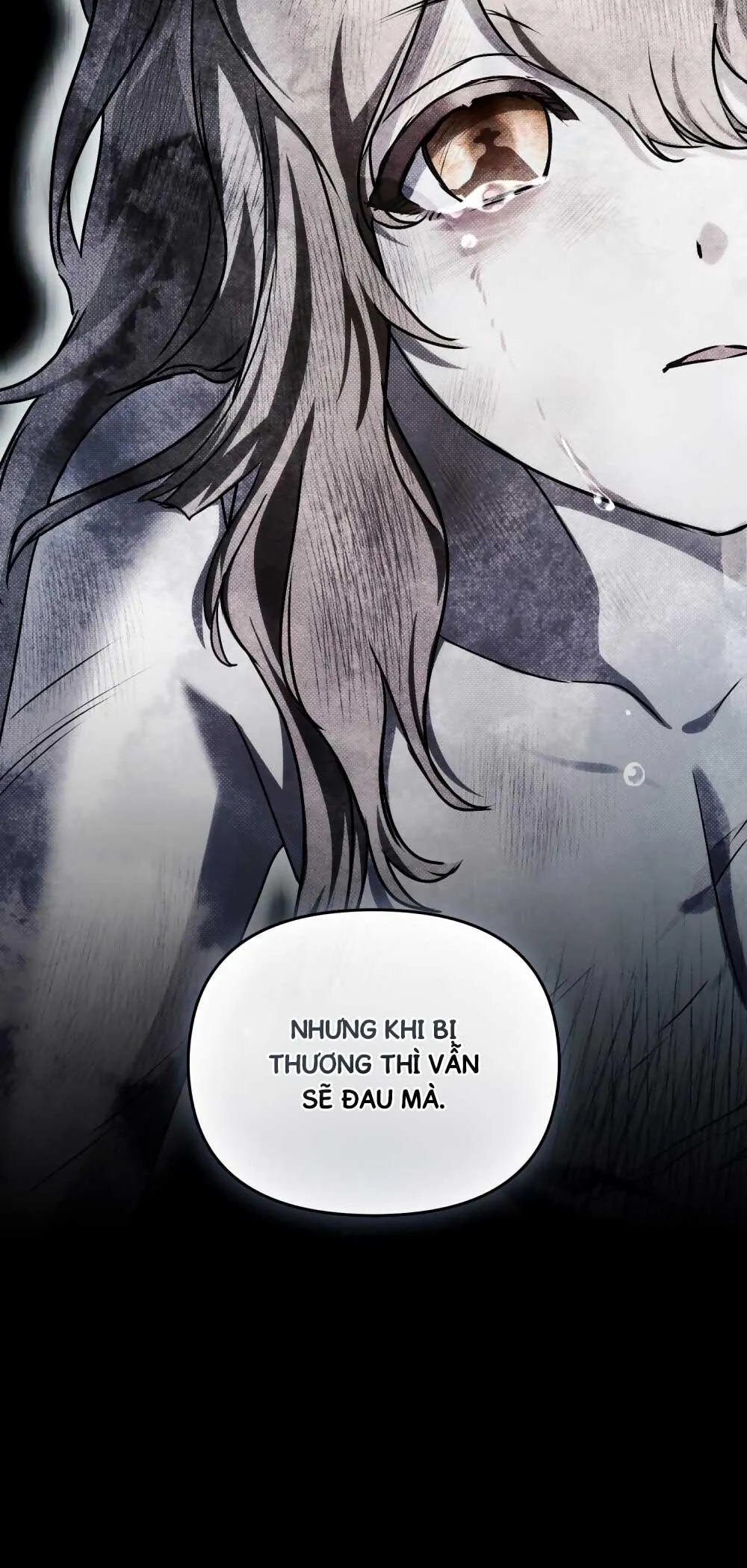 HỎA HỒN Chapter 15 Trang 6