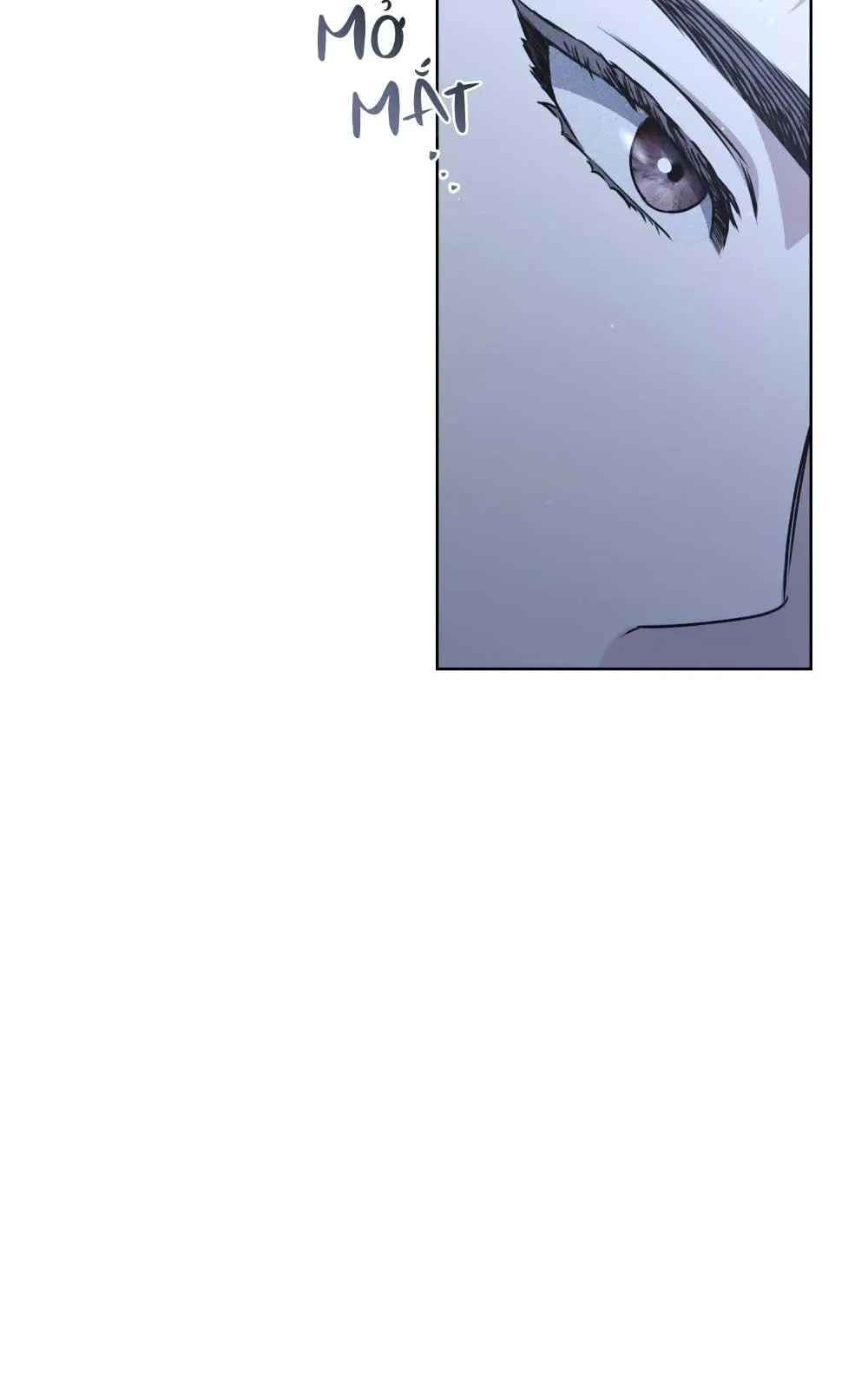 HỎA HỒN Chapter 15 Trang 10