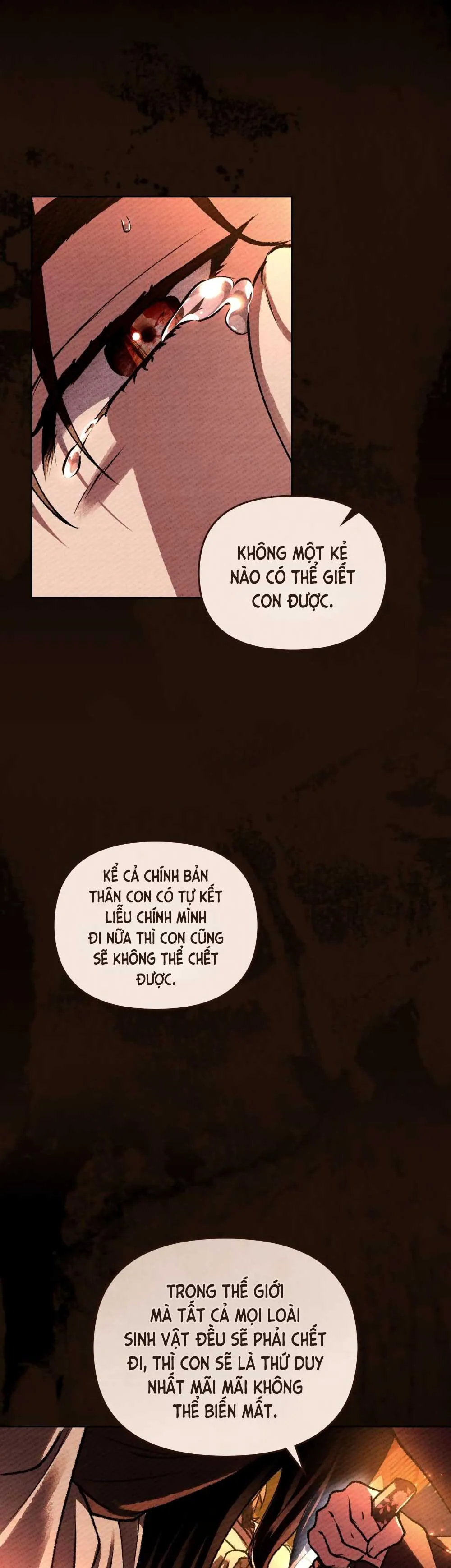 HỎA HỒN Chapter 19 Trang 12