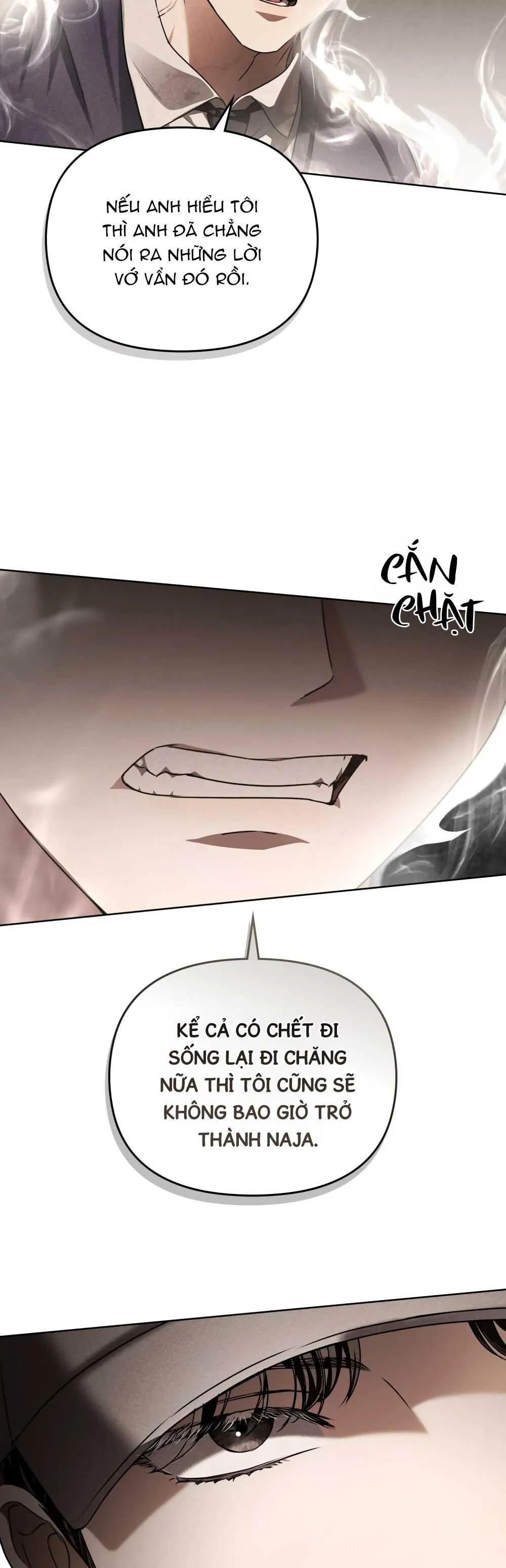 HỎA HỒN Chapter 19 Trang 34