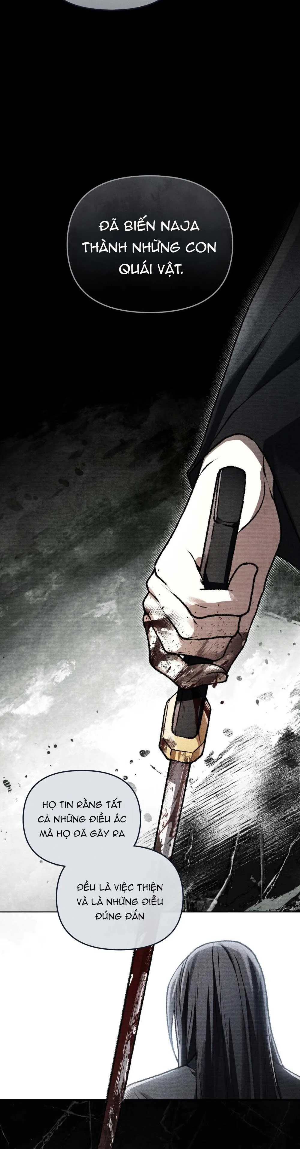 HỎA HỒN Chapter 20 Trang 12