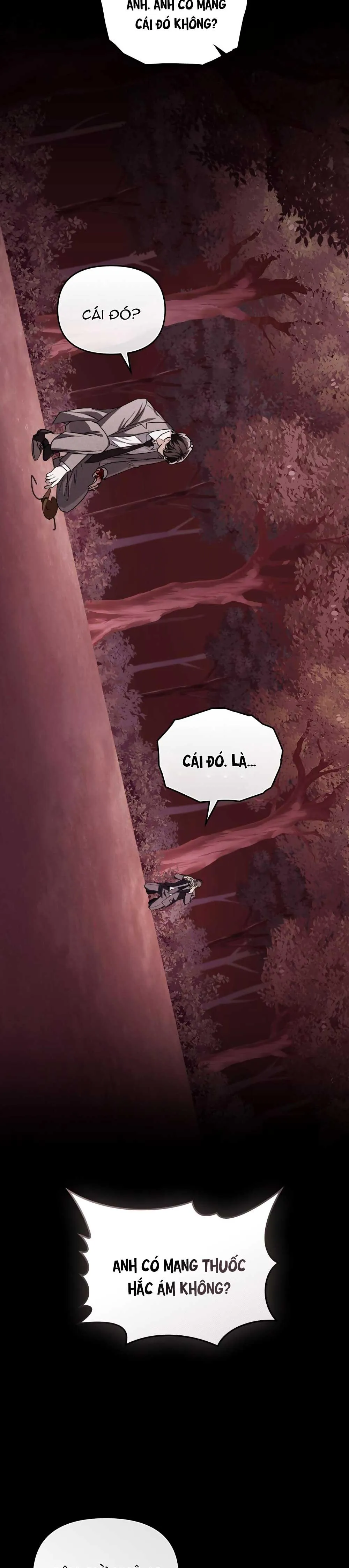 HỎA HỒN Chapter 28 Trang 20