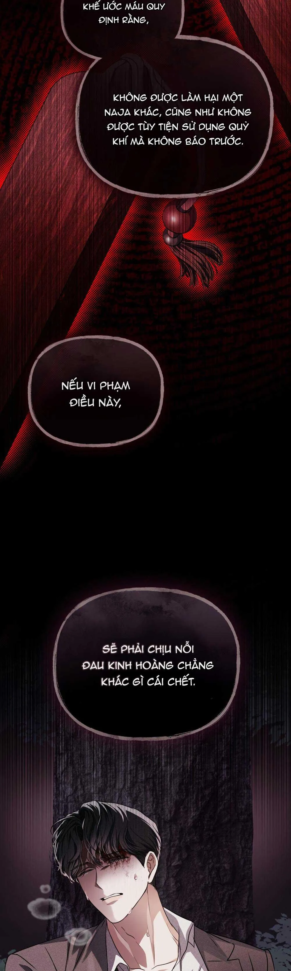 HỎA HỒN Chapter 30 Trang 33