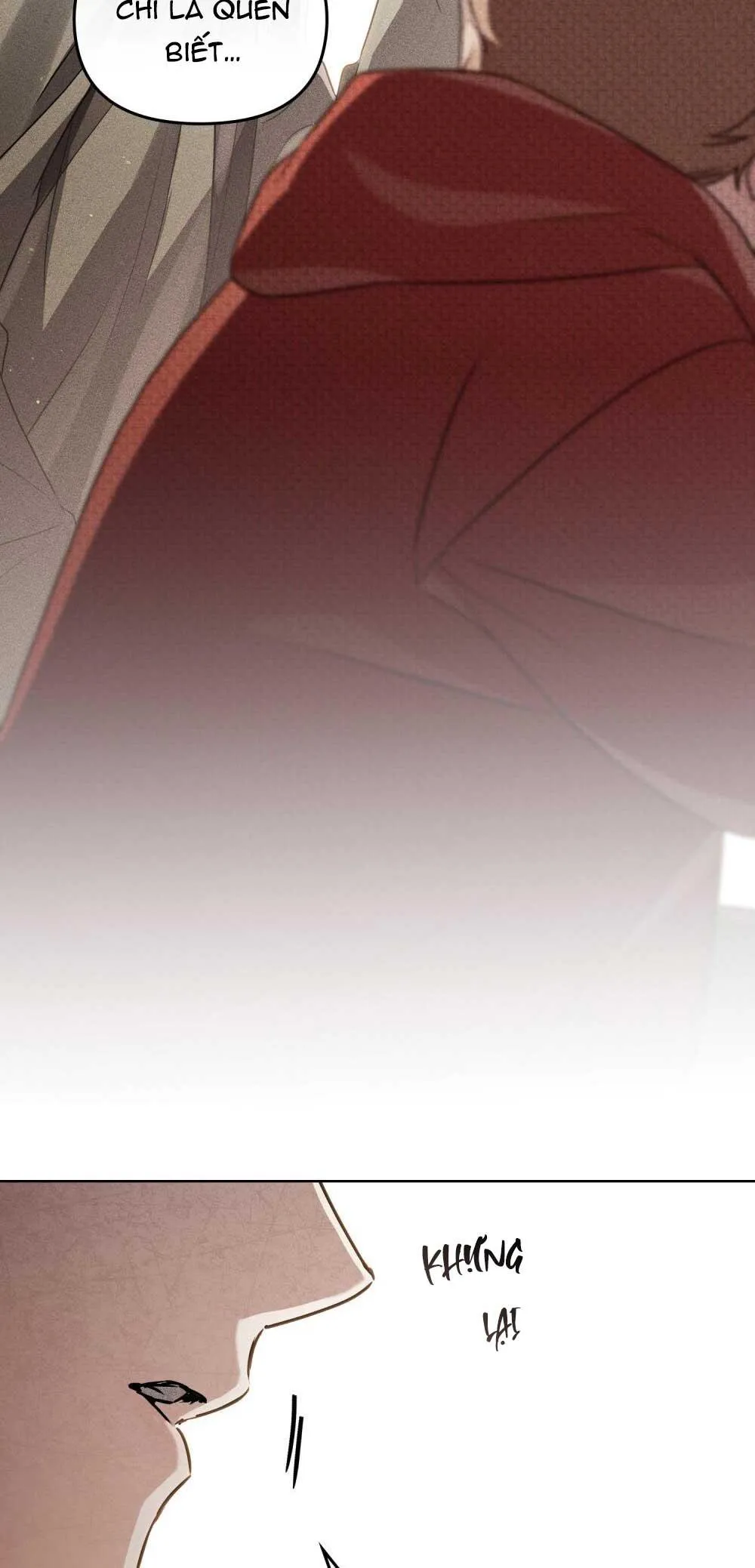 HỎA HỒN Chapter 33 Trang 18