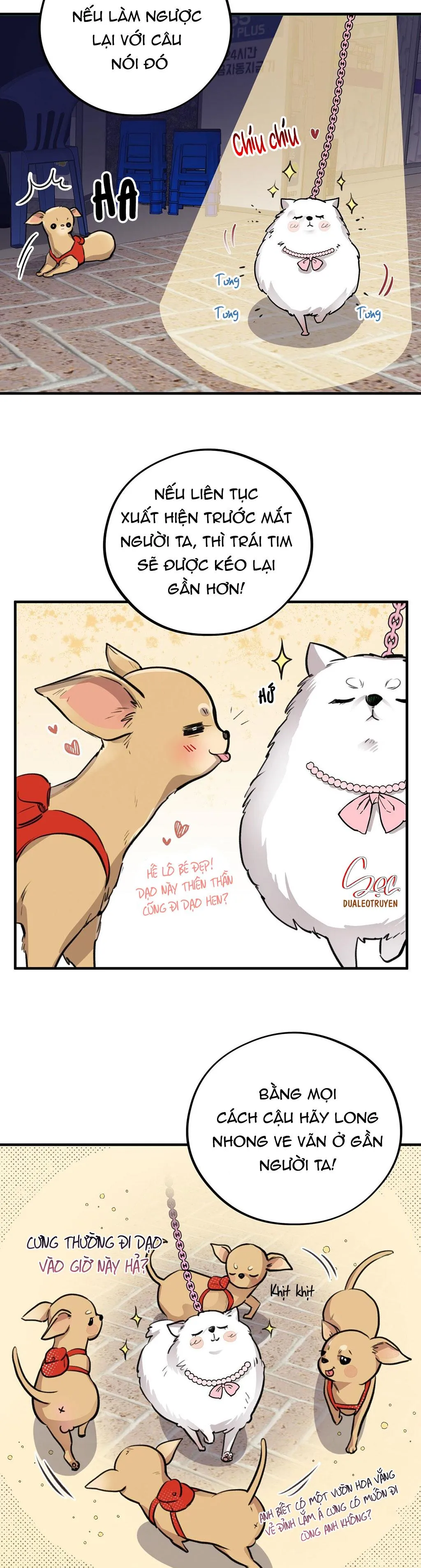 HONEY BEAR Chapter 4 Trang 19