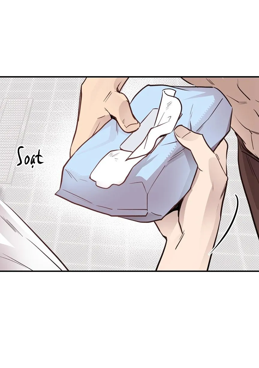 HONEY BEAR Chapter 8 Trang 5