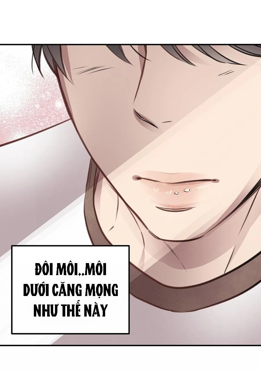 HONEY BEAR Chapter 8 Trang 9