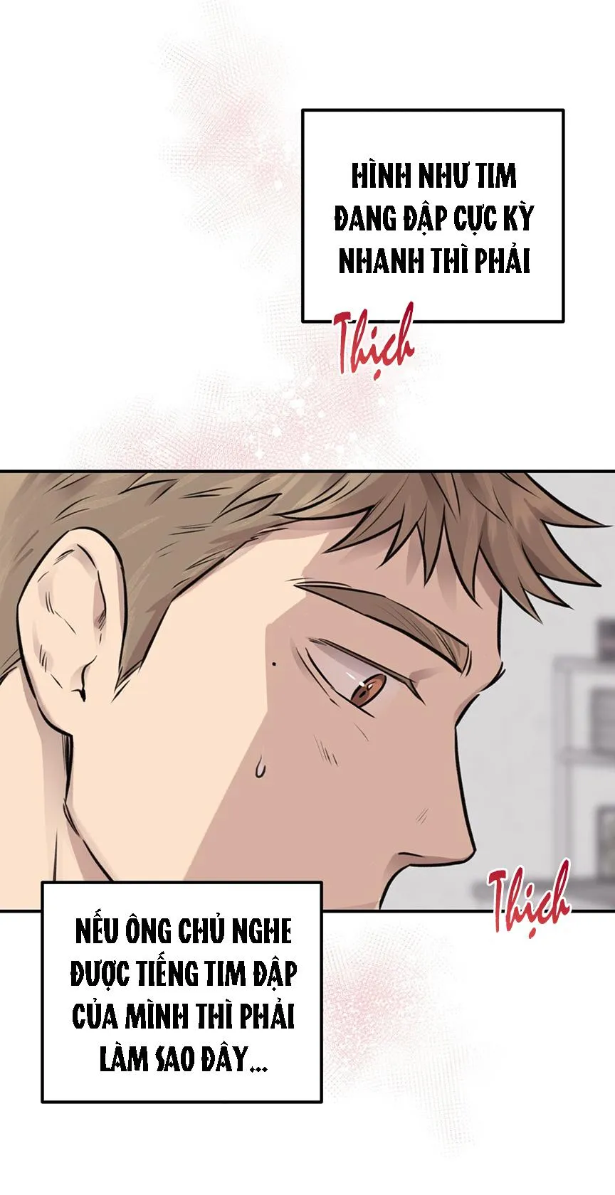 HONEY BEAR Chapter 8 Trang 12