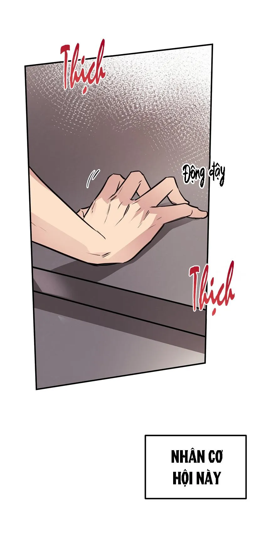 HONEY BEAR Chapter 8 Trang 13