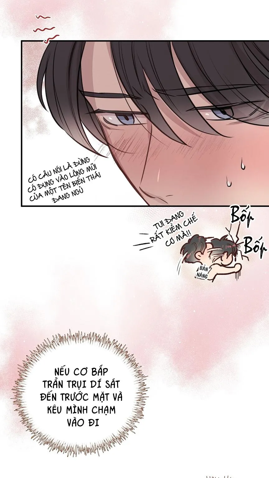 HONEY BEAR Chapter 8 Trang 20