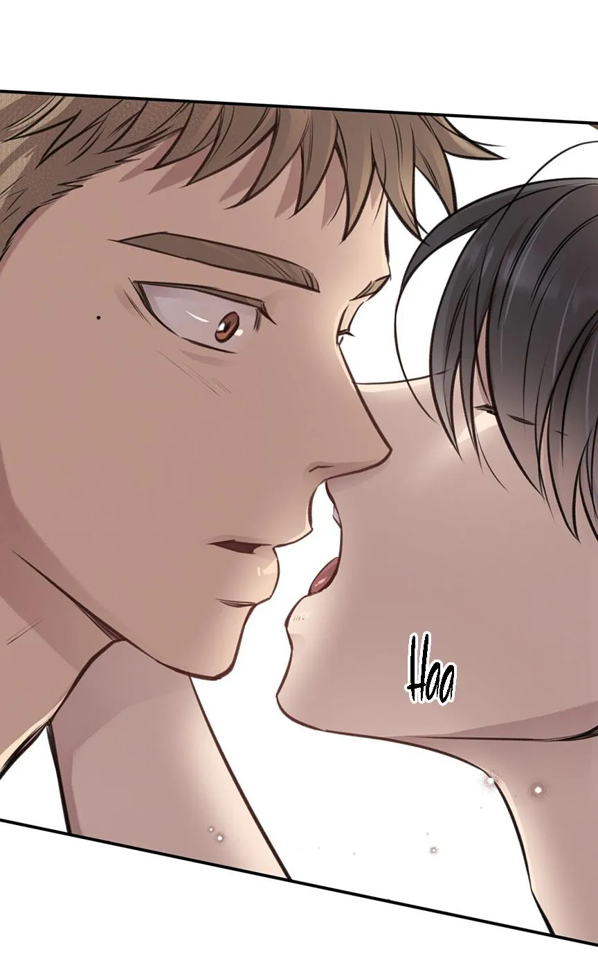 HONEY BEAR Chapter 8 Trang 33