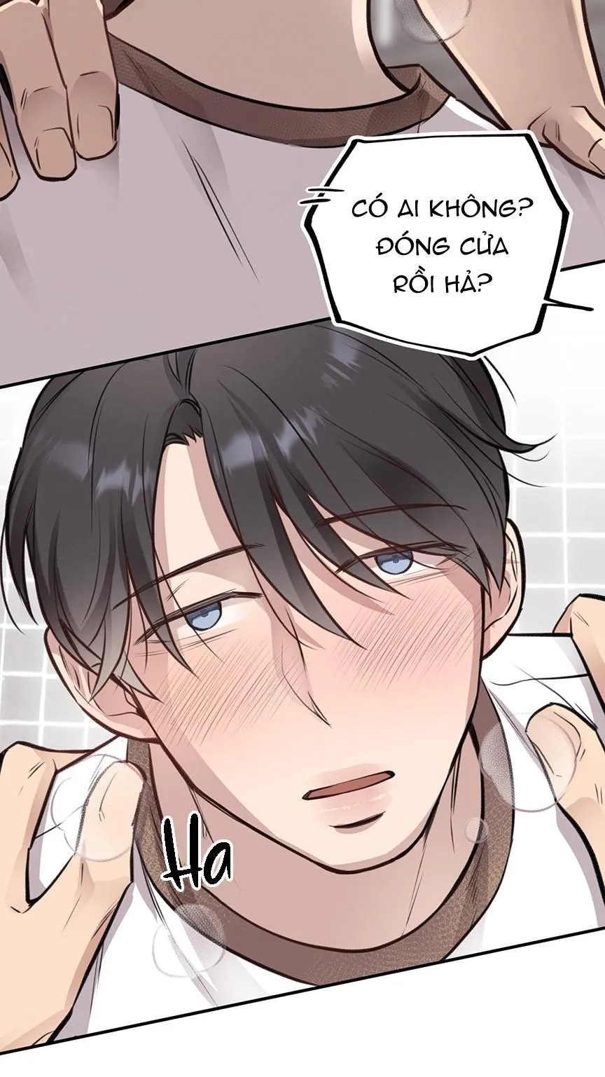 HONEY BEAR Chapter 8 Trang 56