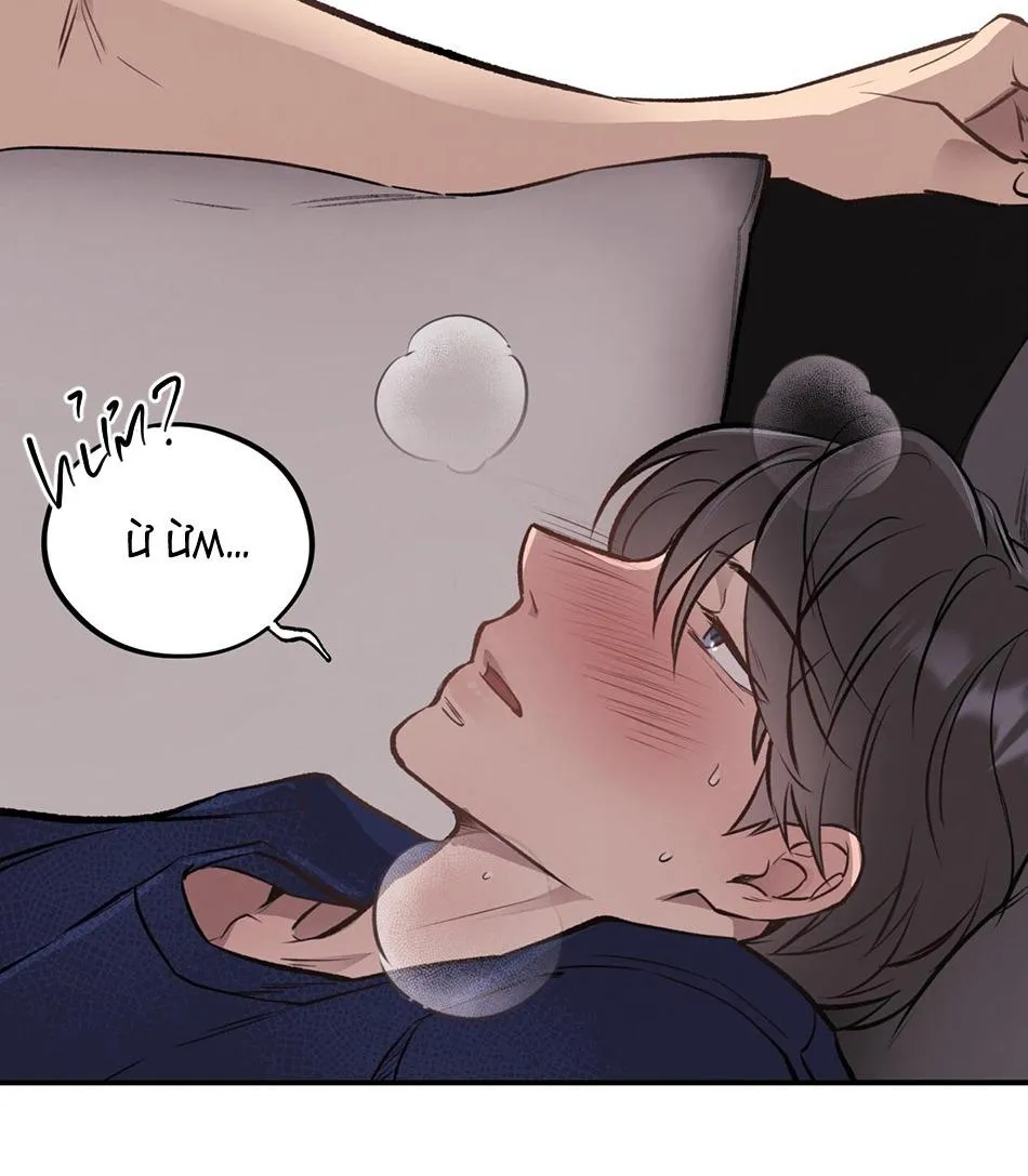 HONEY BEAR Chapter 15 Trang 69