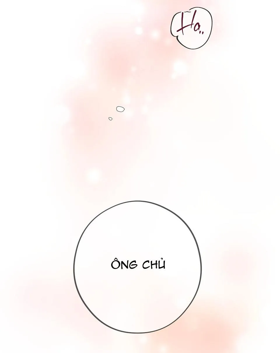 HONEY BEAR Chapter 20 Trang 47