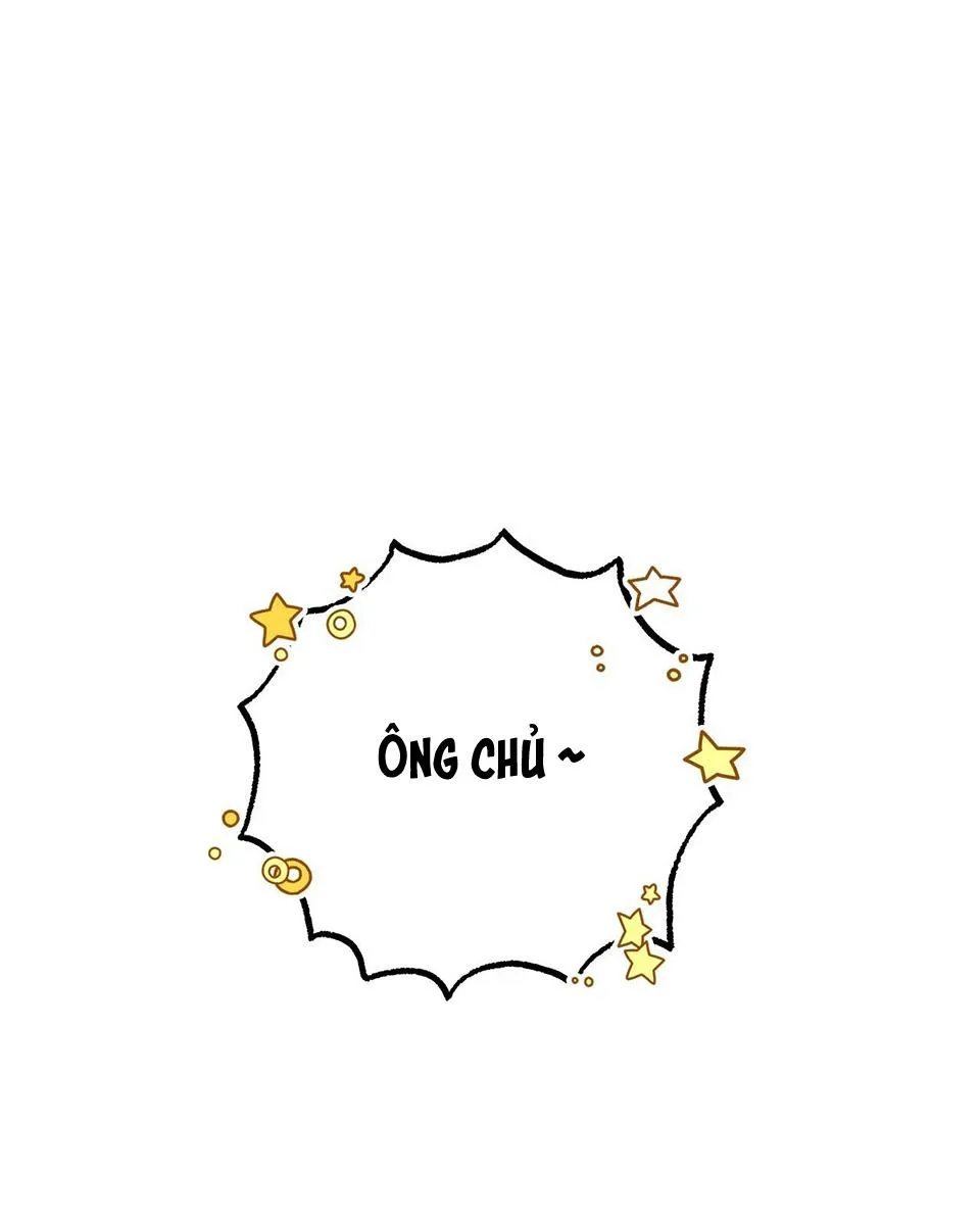 HONEY BEAR Chapter 21 Trang 68