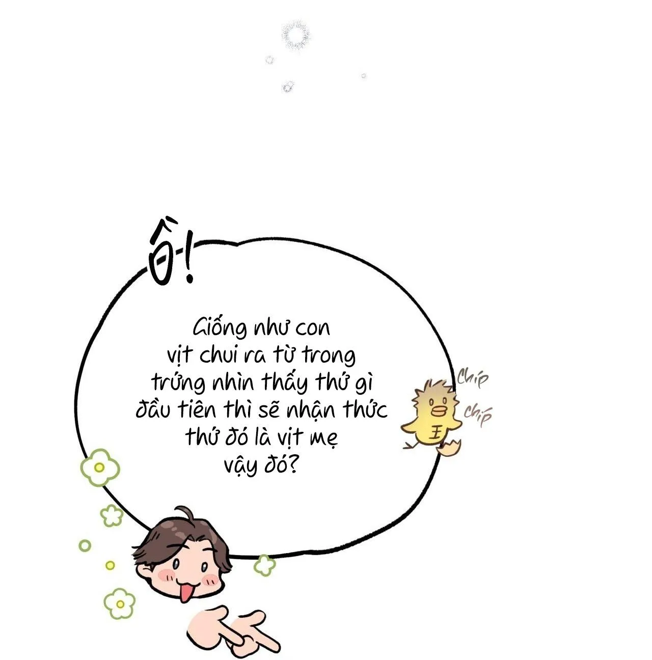 HONEY BEAR Chapter 22 Trang 43