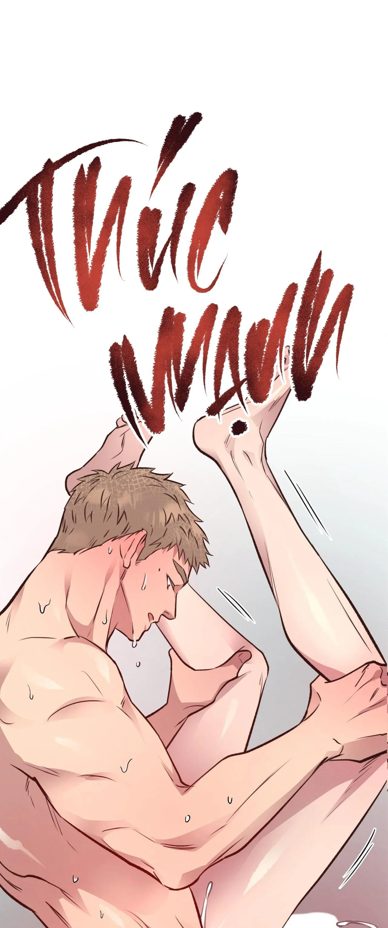 HONEY BEAR Chapter 28 Trang 67