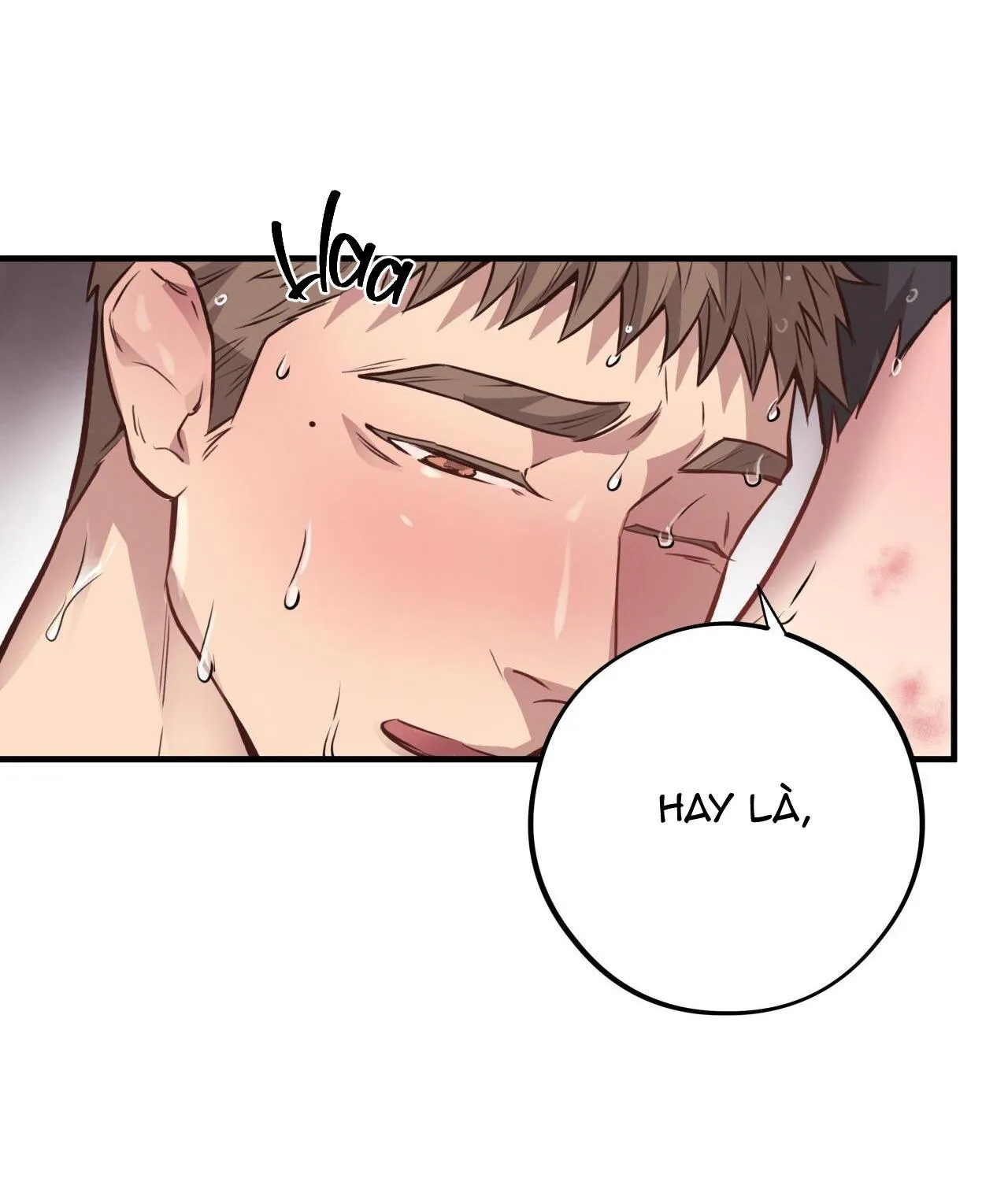 HONEY BEAR Chapter 29 Trang 11