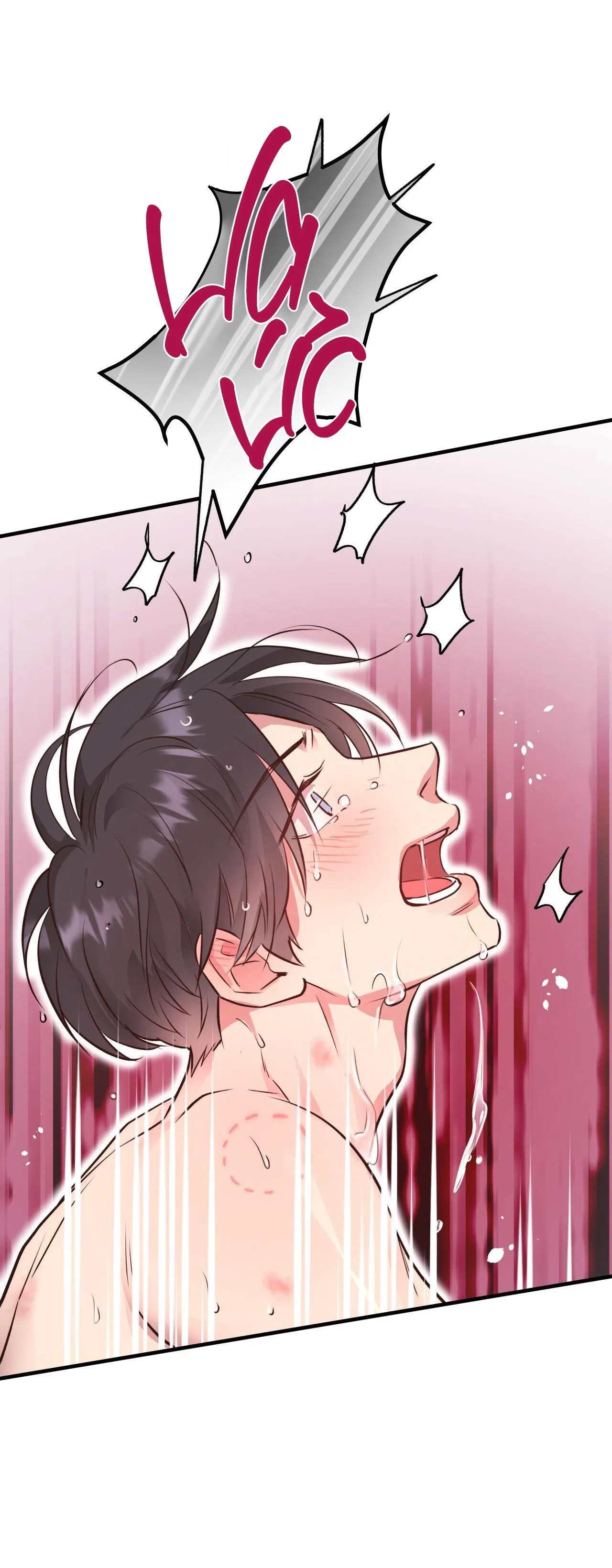 HONEY BEAR Chapter 29 Trang 29