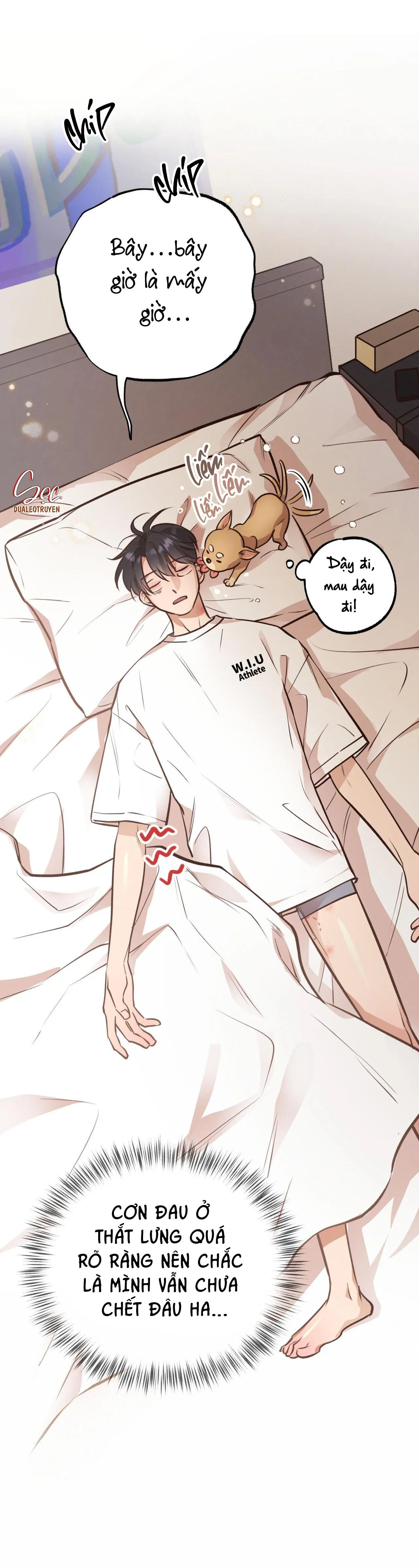 HONEY BEAR Chapter 29 Trang 58