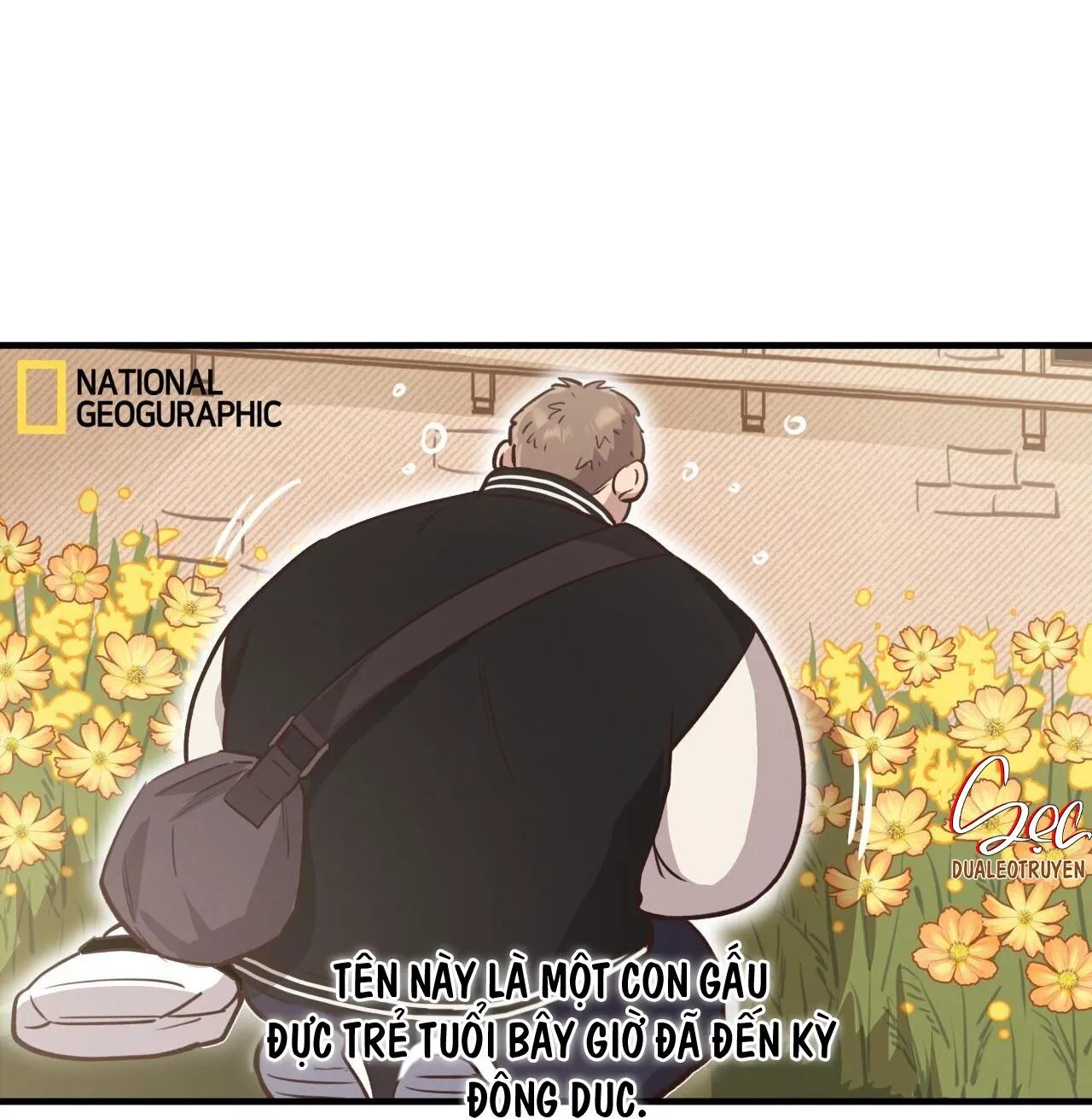 HONEY BEAR Chapter 31 Trang 7