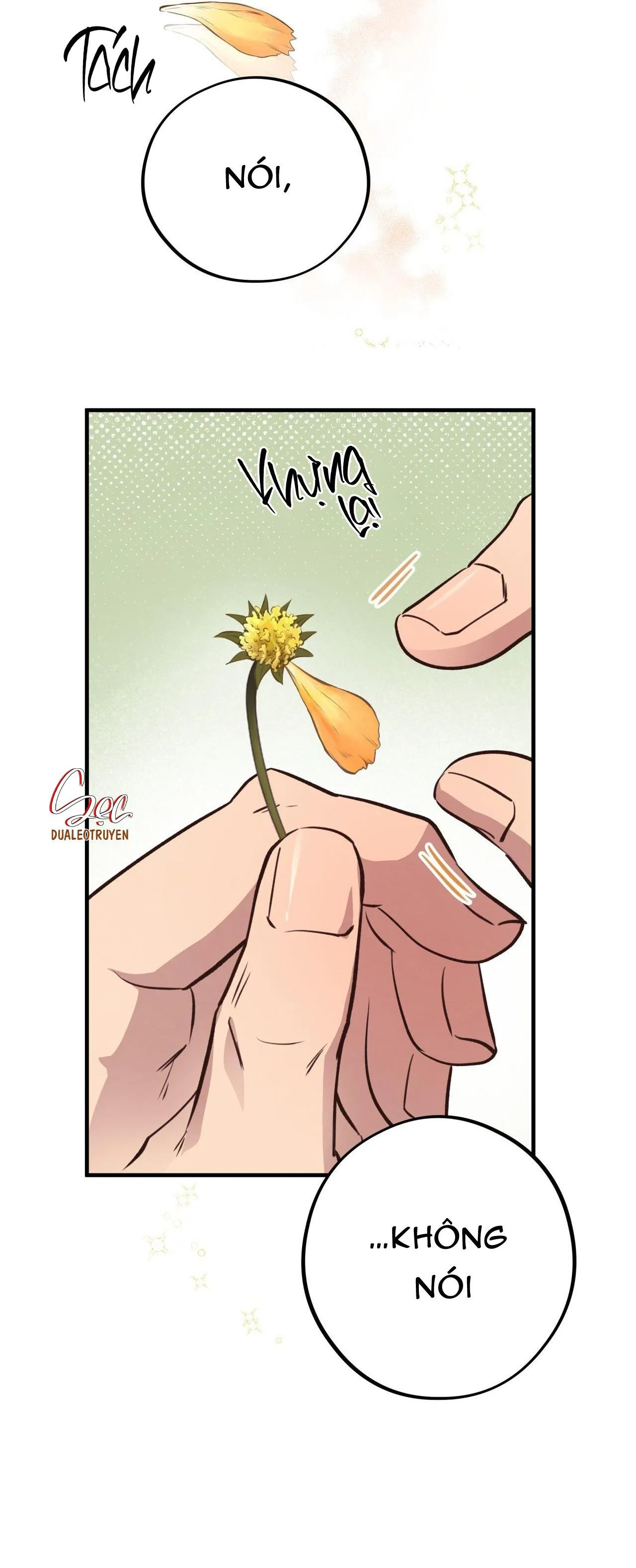 HONEY BEAR Chapter 31 Trang 13