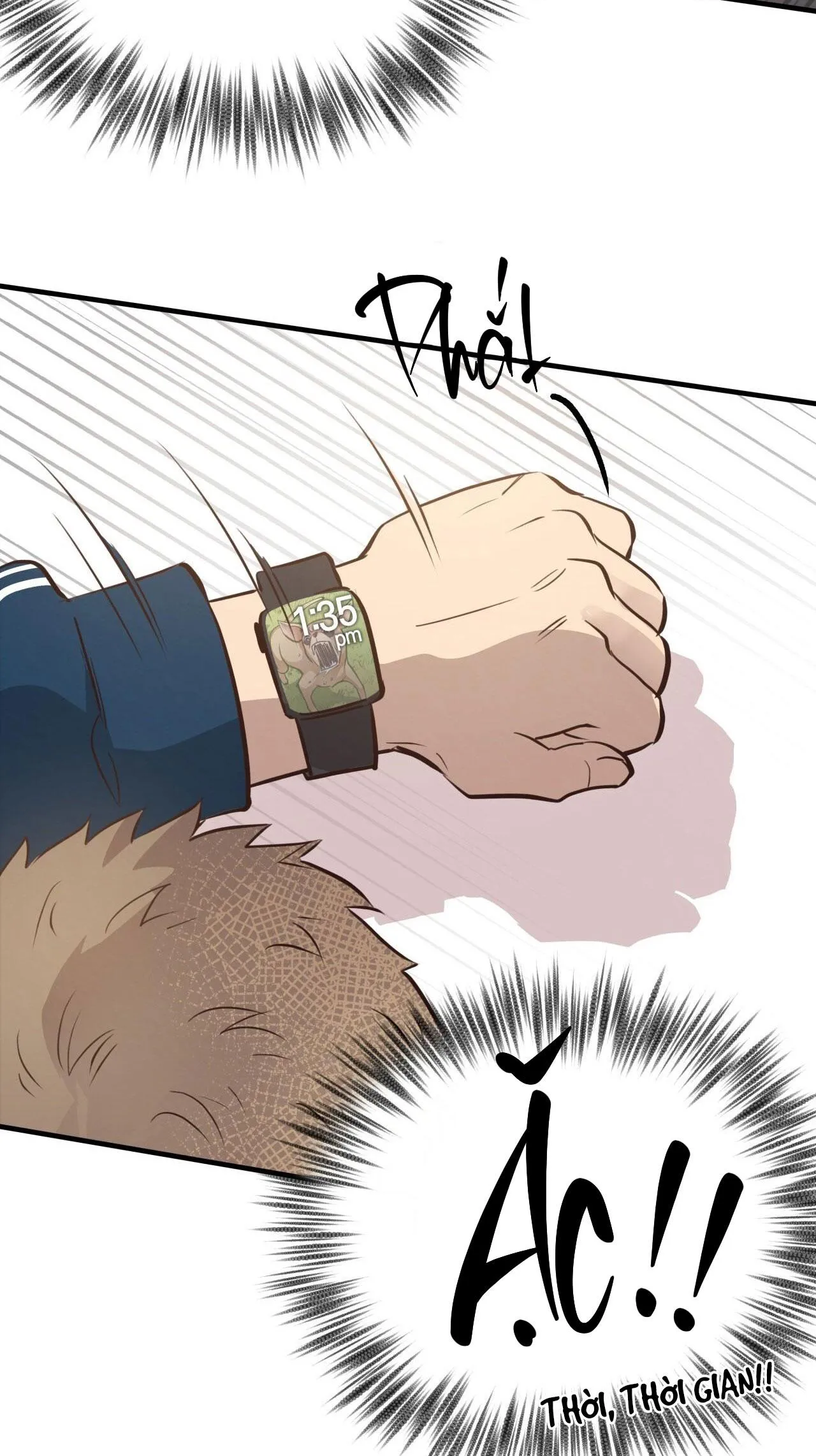 HONEY BEAR Chapter 32 Trang 73