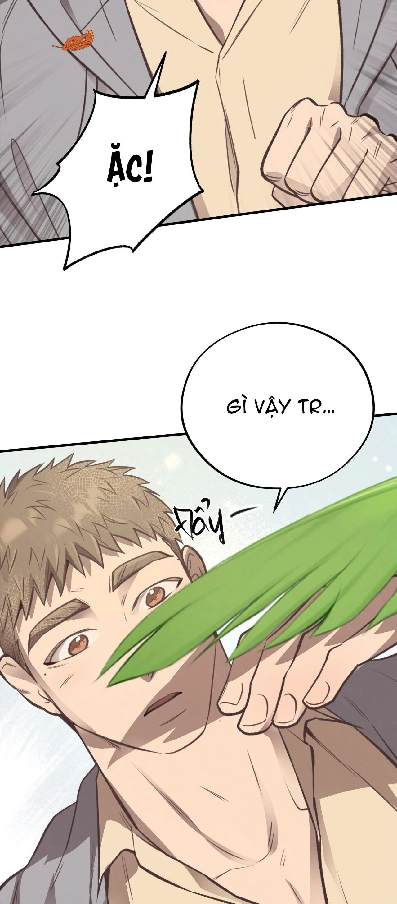 HONEY BEAR Chapter 36 Trang 5