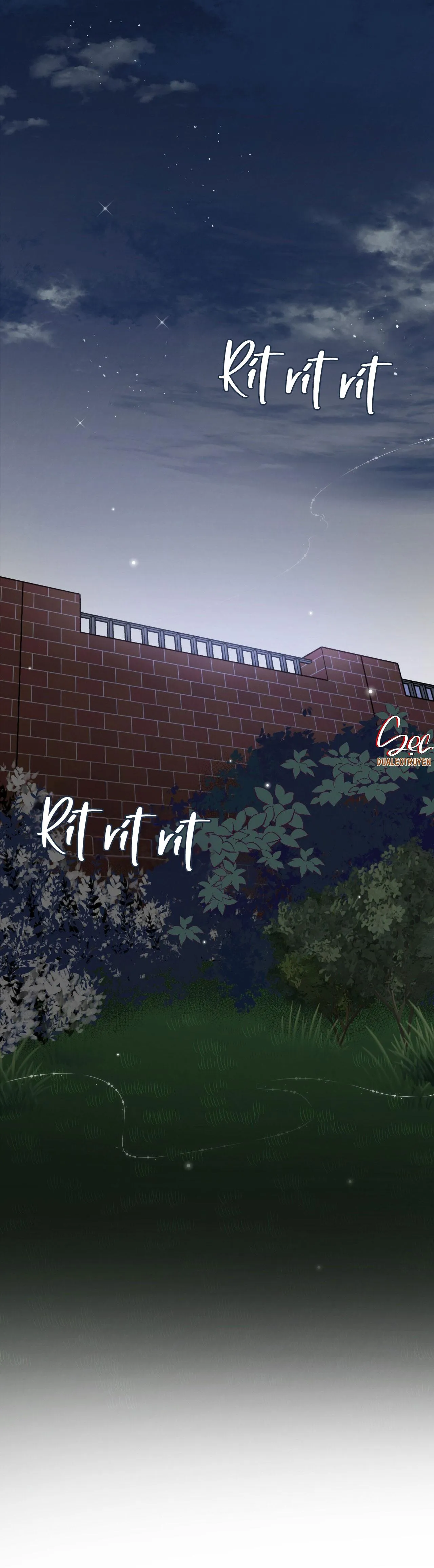 HONEY BEAR Chapter 37 Trang 21