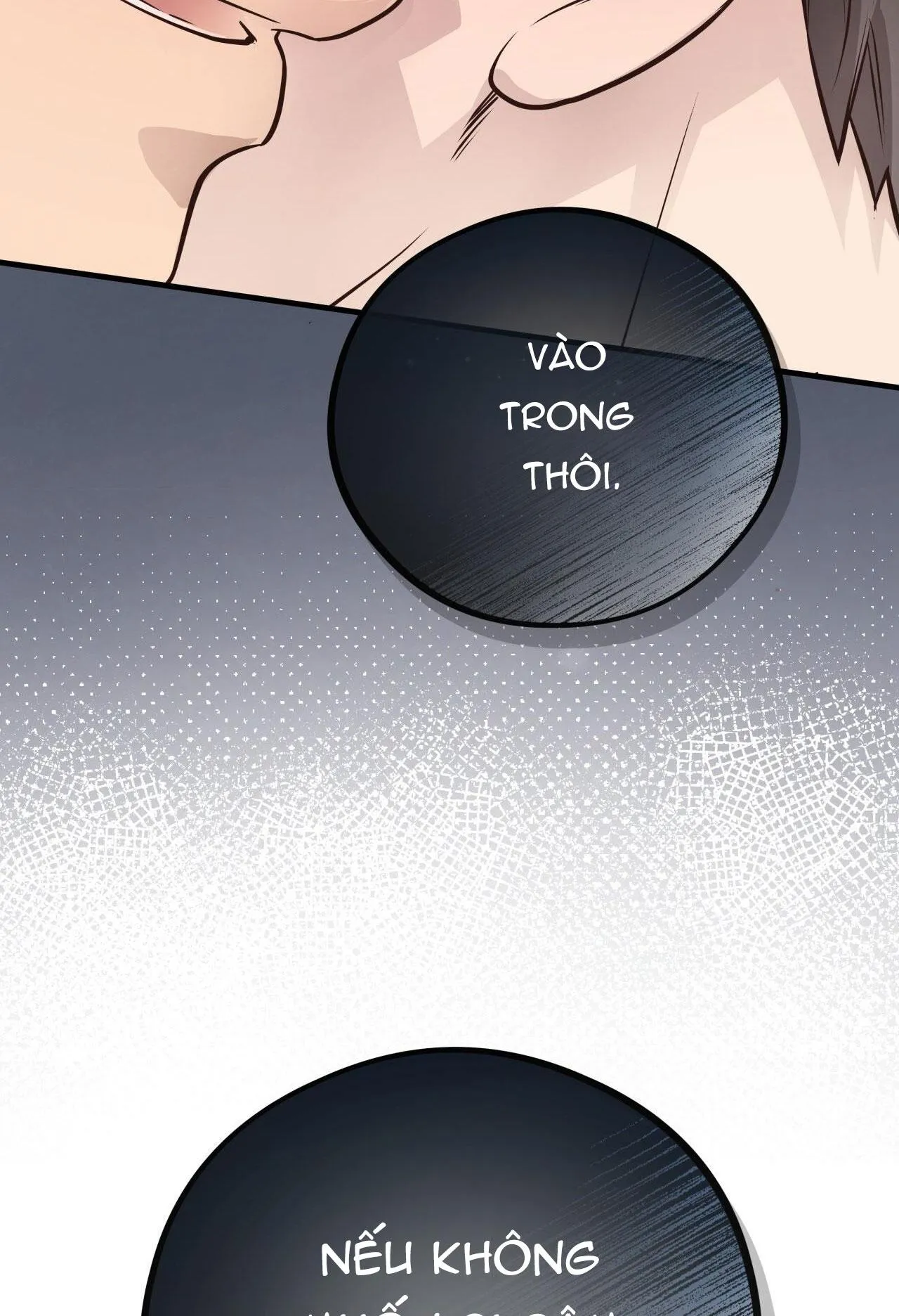 HONEY BEAR Chapter 40 Trang 64