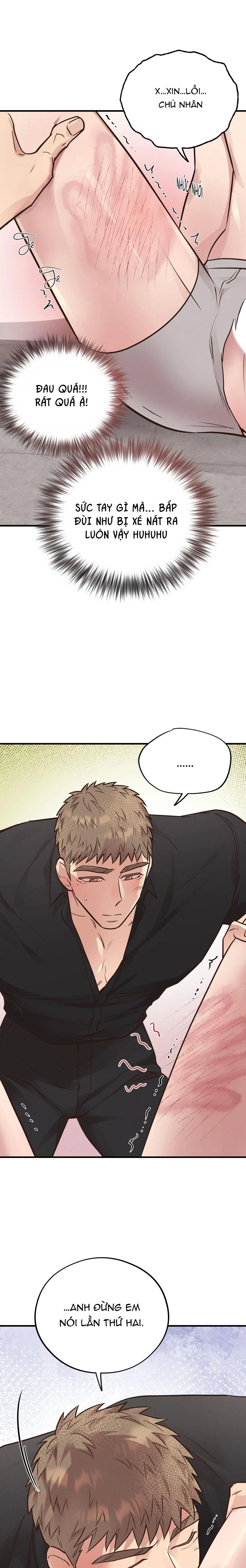 HONEY BEAR Chapter 41 Trang 3