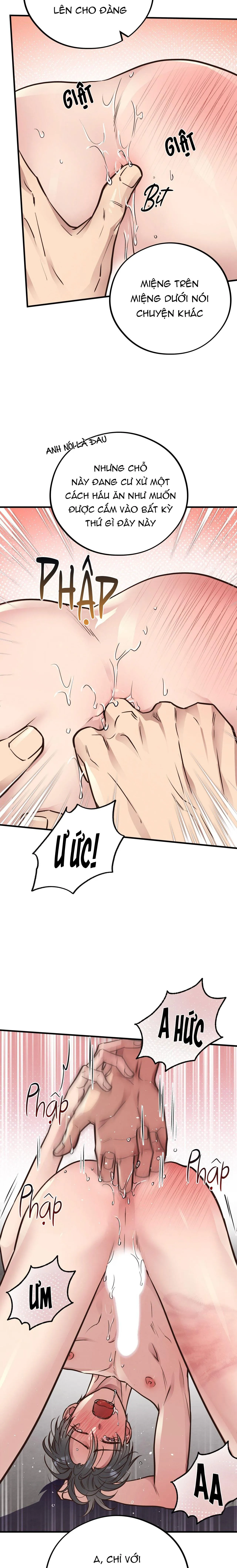 HONEY BEAR Chapter 41 Trang 11