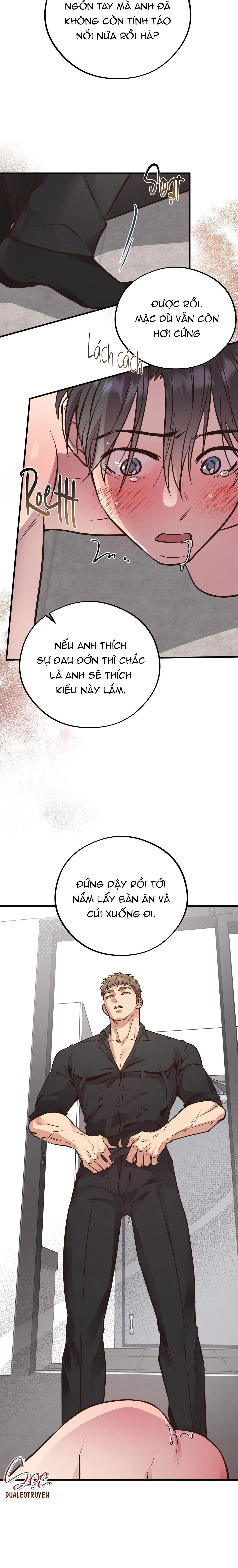 HONEY BEAR Chapter 41 Trang 12