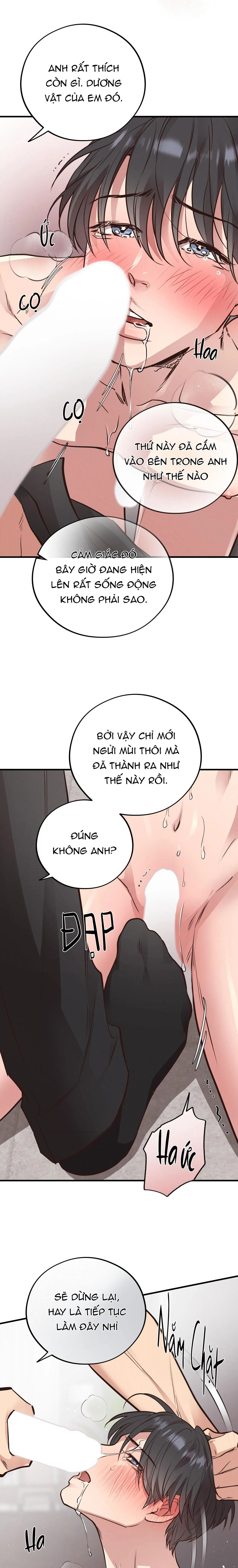 HONEY BEAR Chapter 41 Trang 15