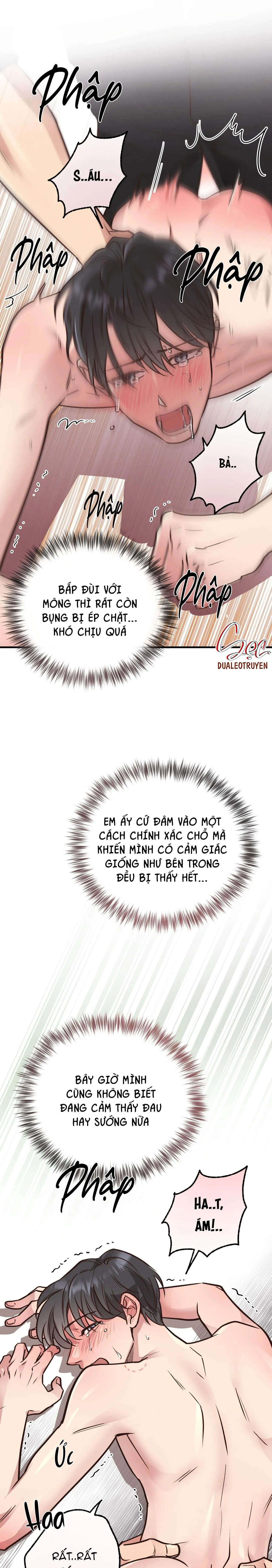 HONEY BEAR Chapter 41 Trang 25