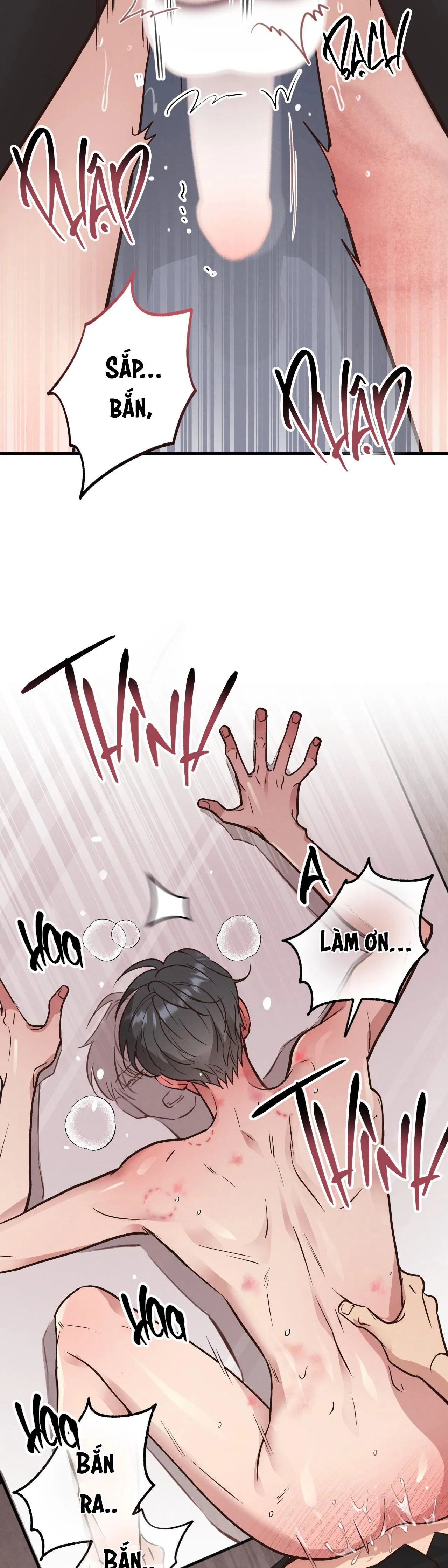 HONEY BEAR Chapter 42 Trang 5