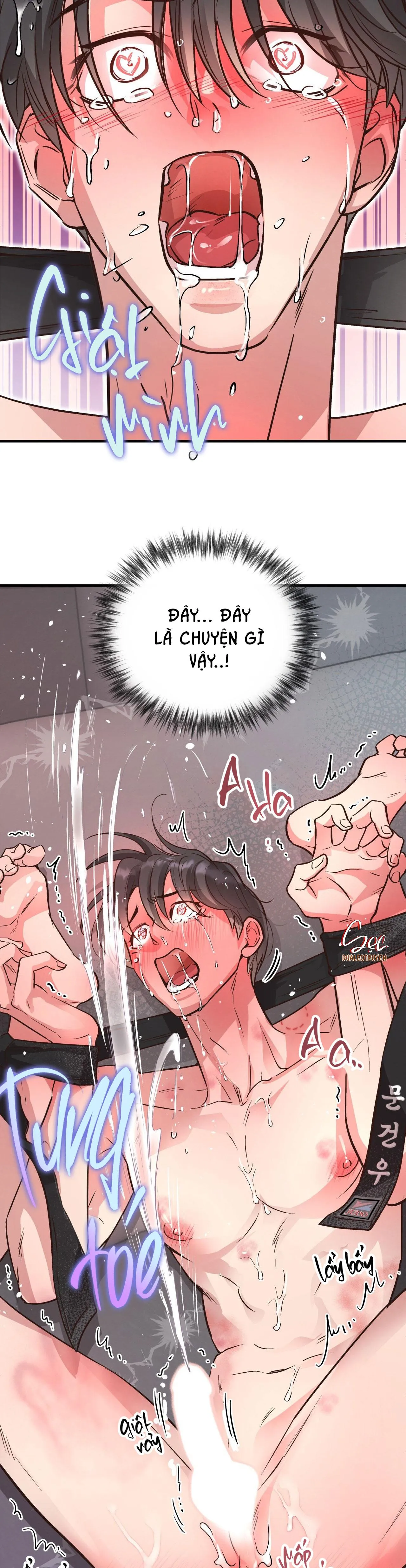 HONEY BEAR Chapter 42 Trang 48