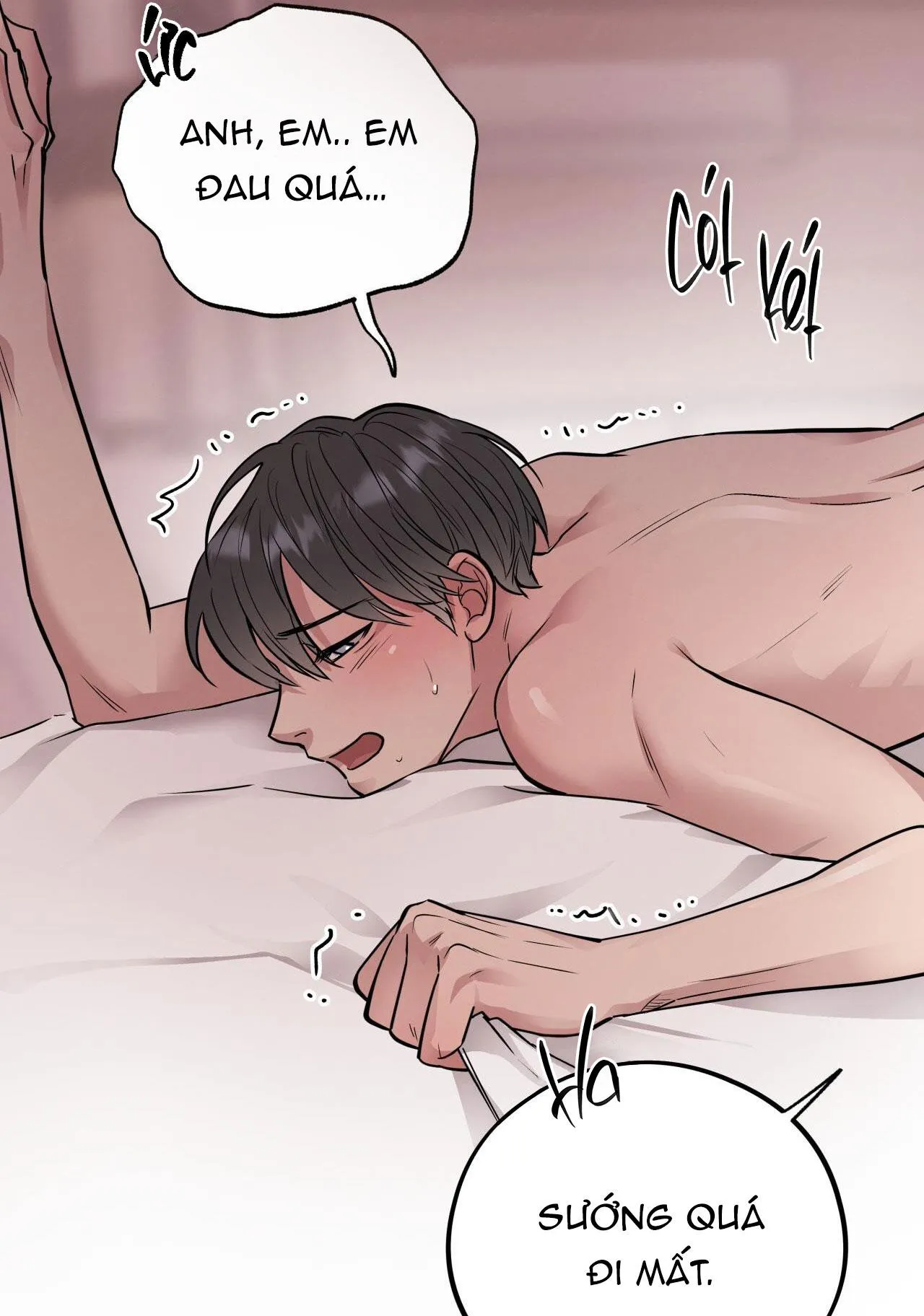 HONEY BEAR Chapter 51 Trang 52