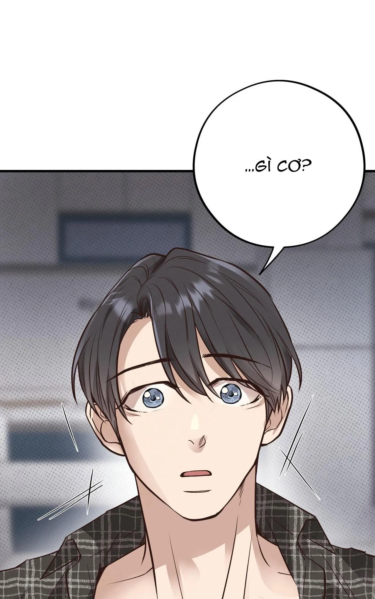 HONEY BEAR Chapter 51 Trang 79