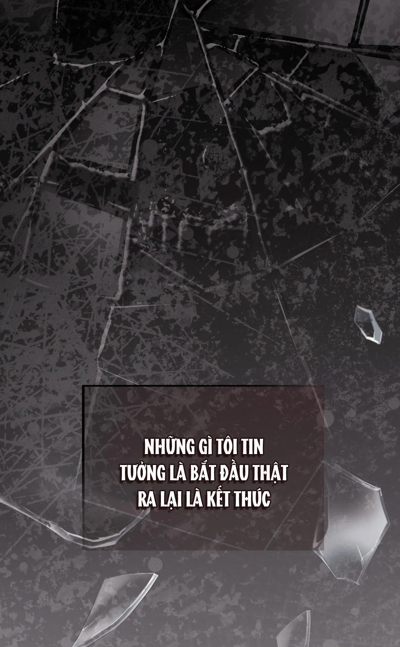 HONEY BEAR Chapter 51 Trang 96