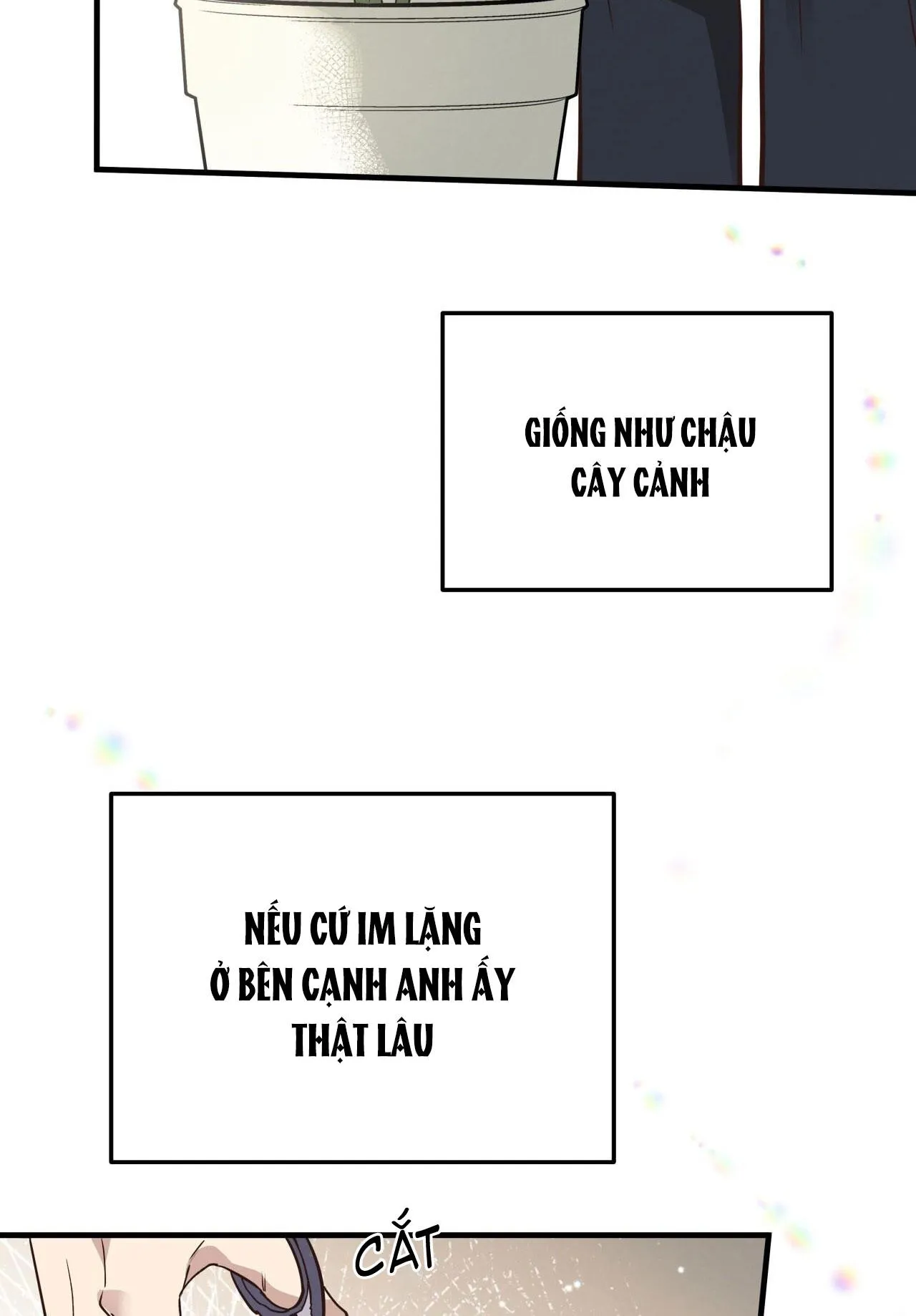 HONEY BEAR Chapter 52 Trang 3