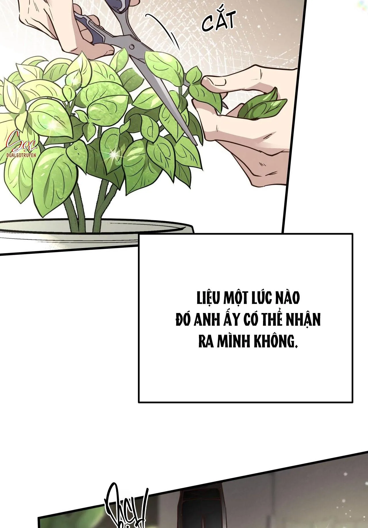 HONEY BEAR Chapter 52 Trang 4