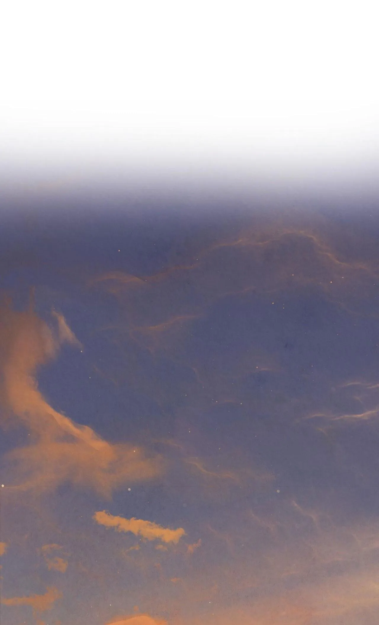 HONEY BEAR Chapter 56 Trang 27